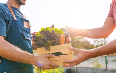 Les Mardis et Jeudis du Terroir sont de retour