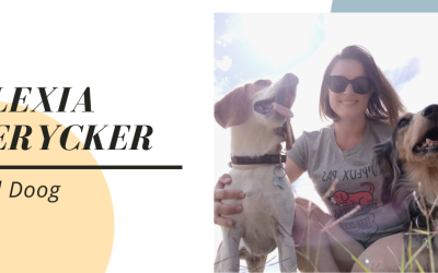 Une comportementaliste canin et une pension pour chiens à Bernimont