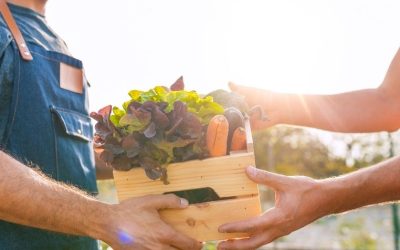 Lancement de la saison des Marchés du Terroir