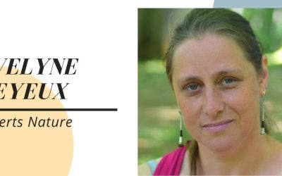 Experts Nature : des stages engagés pour les enfants