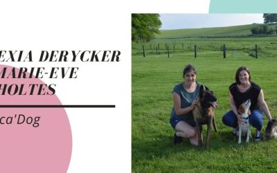 Educa&rsquo;Dog, nouveau centre d&rsquo;éducation positive pour votre chien