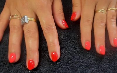 LS&rsquo;thétik : un rêve devenu réalité