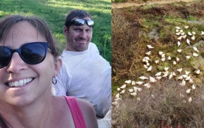 La Ferme des Sens : élevage de poulets et canards à Gennevaux